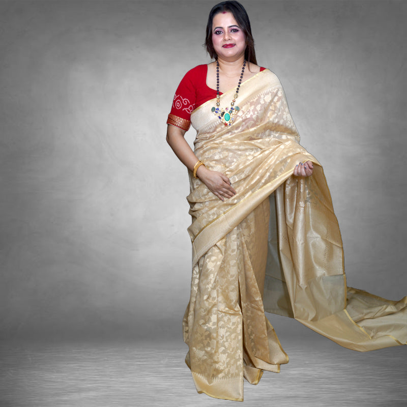 Benarasi Net Saree
