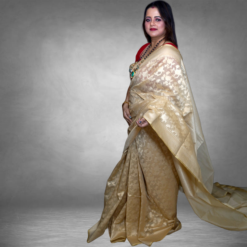 Benarasi Net Saree