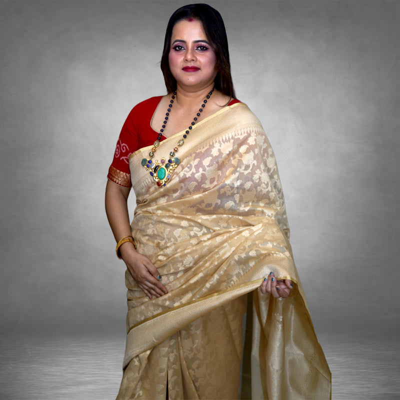 Benarasi Net Saree